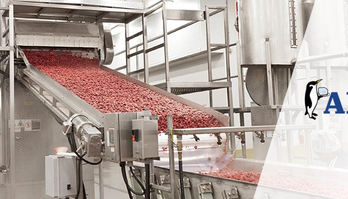 AFE Processing strawberries