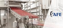 AFE Processing strawberries